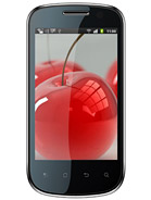 Best available price of Celkon A19 in Turkeyrabia