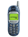 Best available price of Motorola T190 in Turkeyrabia