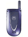 Best available price of Motorola V66i in Turkeyrabia